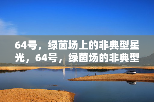 64号，绿茵场上的非典型星光，64号，绿茵场的非典型星光