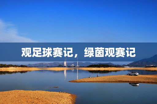 观足球赛记,绿茵观赛记