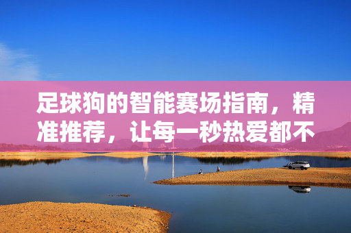 足球狗的智能赛场指南,精准推荐,让每一秒热爱都不浪费,足球狗智能赛场指南,精准推荐,热爱不虚度