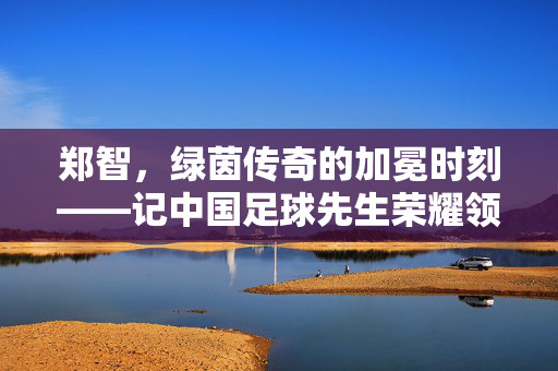 郑智，绿茵传奇的加冕时刻——记中国足球先生荣耀领奖，郑智绿茵传奇加冕中国足球先生荣耀时刻