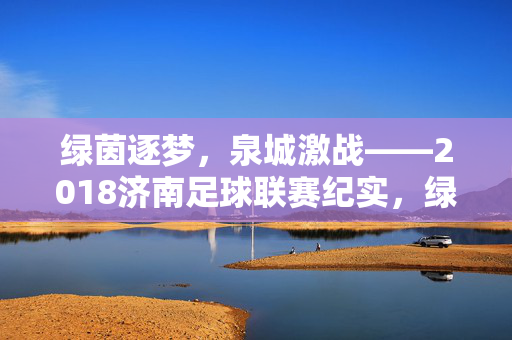 绿茵逐梦,泉城激战——2018济南足球联赛纪实,绿茵逐梦,泉城激战——2018济南足球联赛