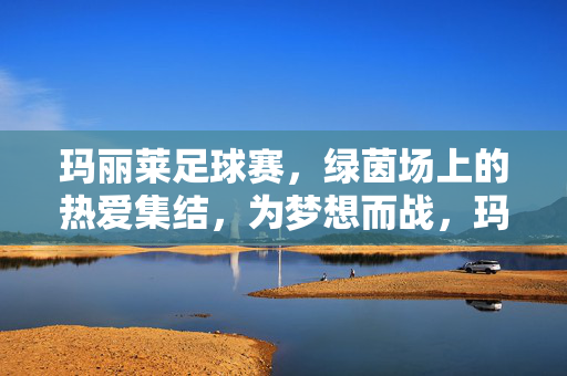 玛丽莱足球赛，绿茵场上的热爱集结，为梦想而战，玛丽莱足球赛，绿茵场热爱集结，为梦想而战