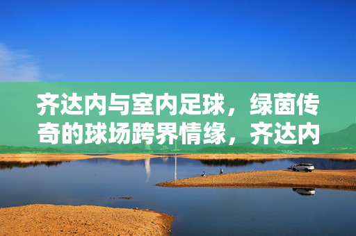 齐达内与室内足球，绿茵传奇的球场跨界情缘，齐达内，绿茵传奇的室内足球跨界情缘