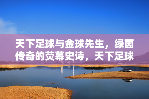 天下足球与金球先生，绿茵传奇的荧幕史诗，天下足球，金球先生的荧幕绿茵史诗