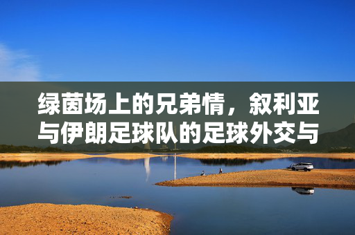 绿茵场上的兄弟情，叙利亚与伊朗足球队的足球外交与共同征程，绿茵兄弟情，叙利亚与伊朗的足球外交共征途