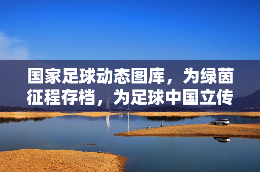 国家足球动态图库,为绿茵征程存档,为足球中国立传,国家足球图库,绿茵存档,中国立传