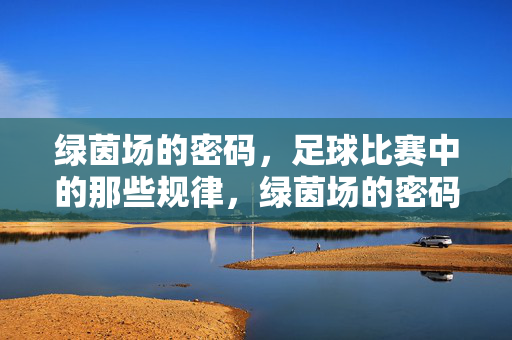 绿茵场的密码,足球比赛中的那些规律,绿茵场的密码,足球比赛的规律