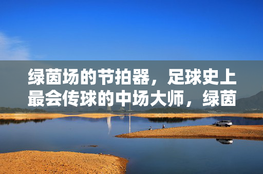 绿茵场的节拍器，足球史上最会传球的中场大师，绿茵节拍器，足球史上最会传球的中场大师