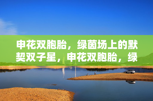 申花双胞胎,绿茵场上的默契双子星,申花双胞胎,绿茵默契双子星