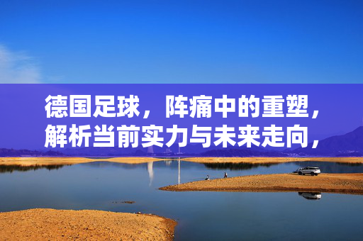 德国足球，阵痛中的重塑，解析当前实力与未来走向，德国足球阵痛重塑，实力与未来走向