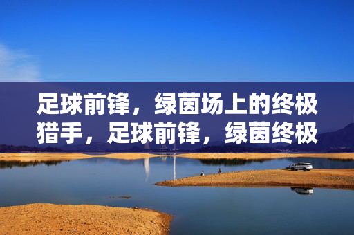 足球前锋,绿茵场上的终极猎手,足球前锋,绿茵终极猎手
