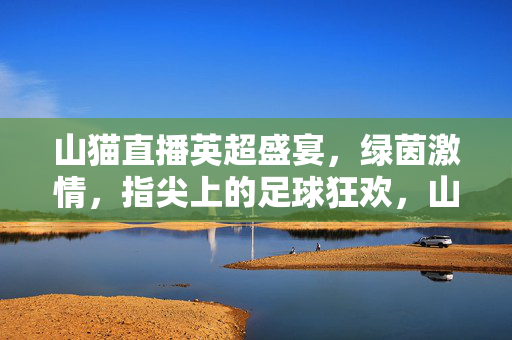 山猫直播英超盛宴，绿茵激情，指尖上的足球狂欢，山猫直播英超盛宴，指尖上的绿茵狂欢