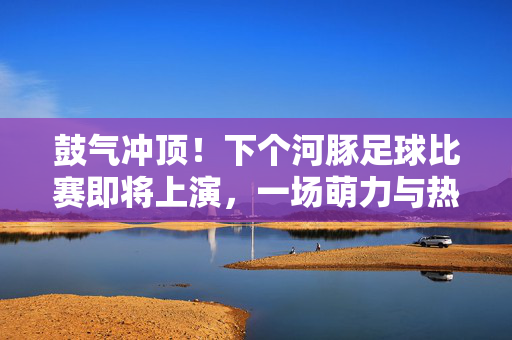 鼓气冲顶！下个河豚足球比赛即将上演，一场萌力与热血的足球狂欢，鼓气冲顶！河豚萌力热血足球狂欢