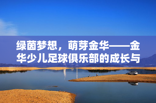 绿茵梦想，萌芽金华——金华少儿足球俱乐部的成长与热爱，绿茵梦想萌芽金华，金华少儿足球俱乐部的成长与热爱