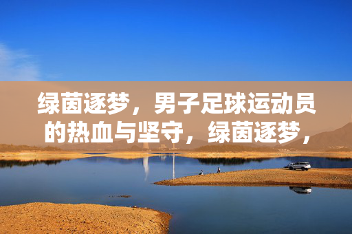绿茵逐梦，男子足球运动员的热血与坚守，绿茵逐梦，男子足球运动员的热血坚守
