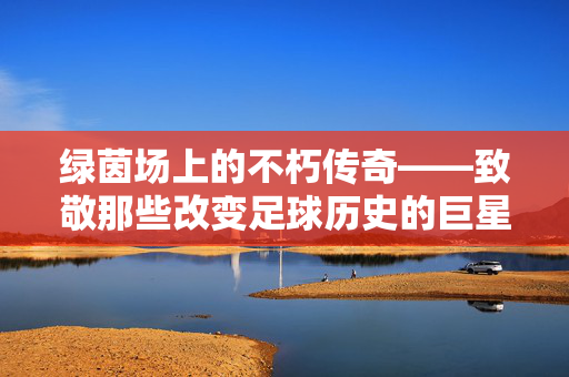 绿茵场上的不朽传奇——致敬那些改变足球历史的巨星，绿茵不朽传奇，改变足球历史的巨星