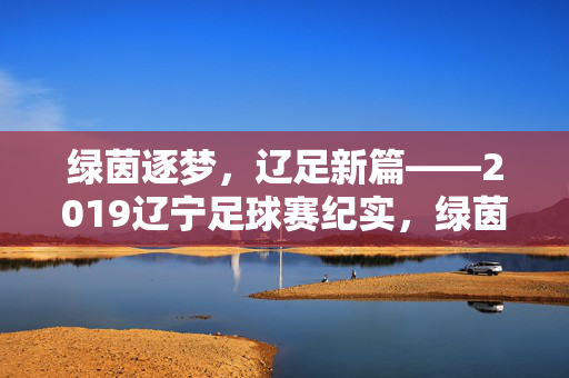 绿茵逐梦，辽足新篇——2019辽宁足球赛纪实，绿茵逐梦，辽足新篇——2019辽宁足球赛纪实