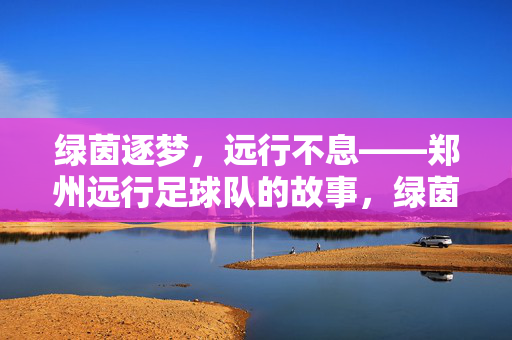 绿茵逐梦,远行不息——郑州远行足球队的故事,绿茵逐梦,远行不息——郑州远行足球队的故事