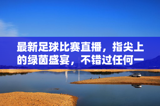 最新足球比赛直播，指尖上的绿茵盛宴，不错过任何一场巅峰对决，指尖绿茵，足球巅峰直播盛宴