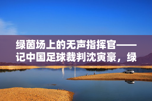 绿茵场上的无声指挥官——记中国足球裁判沈寅豪，绿茵场上的无声指挥官——沈寅豪