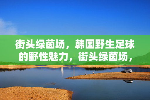 街头绿茵场，韩国野生足球的野性魅力，街头绿茵场，韩国野生足球的野性魅力