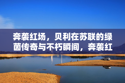奔袭红场,贝利在苏联的绿茵传奇与不朽瞬间,奔袭红场,贝利的苏联绿茵不朽传奇