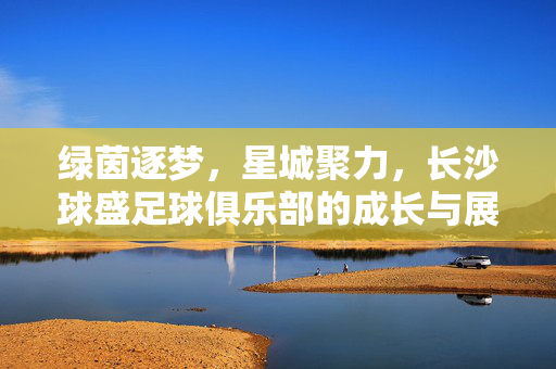 绿茵逐梦，星城聚力，长沙球盛足球俱乐部的成长与展望，绿茵逐梦星城聚力，长沙球盛足球俱乐部的成长与展望