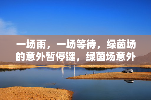 一场雨，一场等待，绿茵场的意外暂停键，绿茵场意外暂停，一场雨的等待