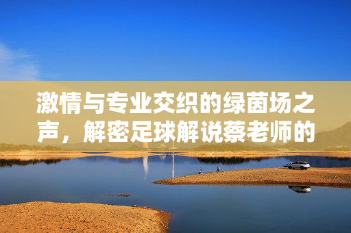 激情与专业交织的绿茵场之声,解密足球解说蔡老师的视频魅力,激情与专业的绿茵之声,蔡老师视频魅力解密