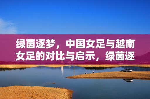 绿茵逐梦，中国女足与越南女足的对比与启示，绿茵逐梦，中越女足对比与启示