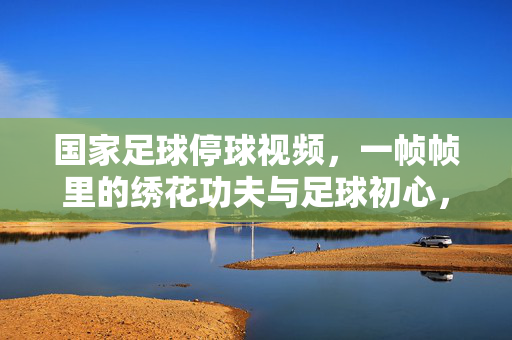 国家足球停球视频，一帧帧里的绣花功夫与足球初心，停球绣花功，初心帧帧见