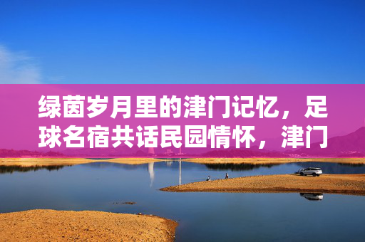 绿茵岁月里的津门记忆，足球名宿共话民园情怀，津门绿茵岁月，足球名宿共话民园情怀