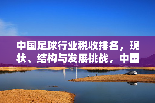 中国足球行业税收排名，现状、结构与发展挑战，中国足球行业税收排名，现状、结构与发展挑战
