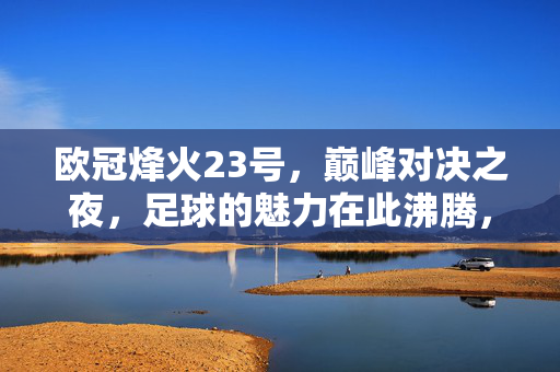 欧冠烽火23号，巅峰对决之夜，足球的魅力在此沸腾，欧冠23号巅峰对决，足球魅力沸腾