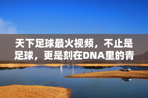 天下足球最火视频，不止是足球，更是刻在DNA里的青春与热血，天下足球最火视频，刻在DNA里的青春与热血