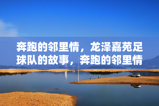 奔跑的邻里情，龙泽嘉苑足球队的故事，奔跑的邻里情，龙泽嘉苑足球队的故事