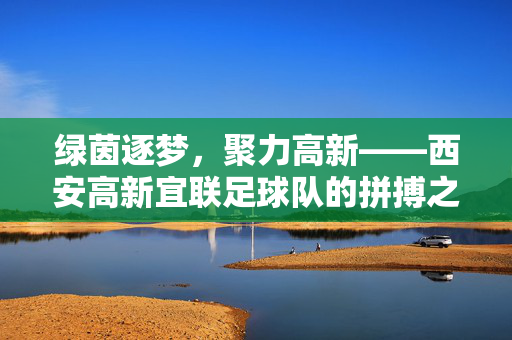 绿茵逐梦，聚力高新——西安高新宜联足球队的拼搏之路，绿茵逐梦，聚力高新——西安高新宜联足球队的拼搏之路