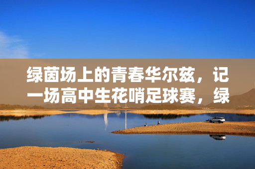 绿茵场上的青春华尔兹，记一场高中生花哨足球赛，绿茵青春华尔兹，高中生花哨足球赛