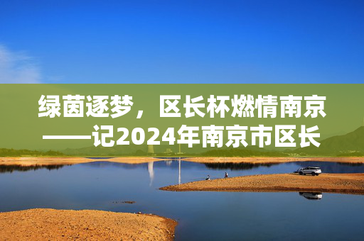 绿茵逐梦，区长杯燃情南京——记2024年南京市区长杯青少年足球赛，2024南京区长杯青少年足球赛，绿茵逐梦燃情金陵