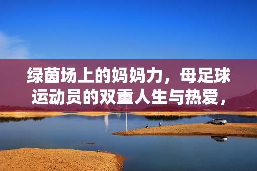 绿茵场的魔法师，罗纳尔迪尼奥与他的足球魔术