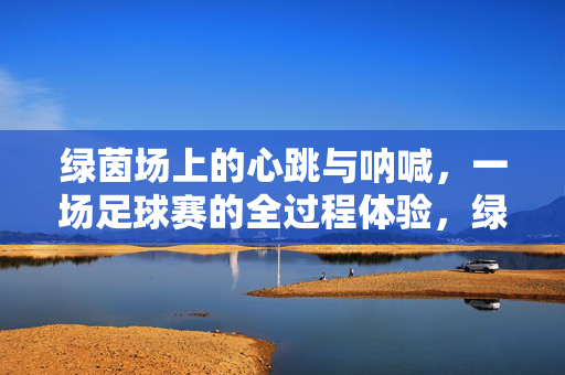 绿茵场上的心跳与呐喊，一场足球赛的全过程体验，绿茵心跳与呐喊，足球赛全程体验