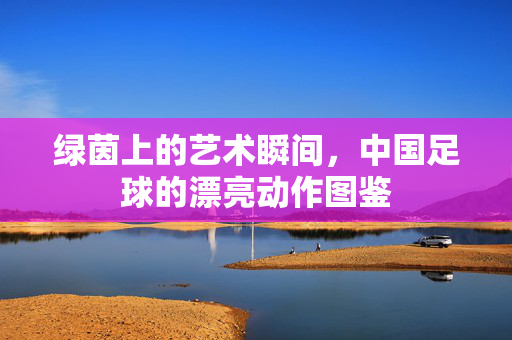 绿茵上的艺术瞬间，中国足球的漂亮动作图鉴