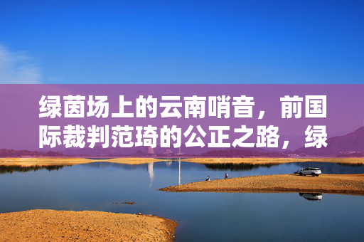 绿茵场上的云南哨音，前国际裁判范琦的公正之路，绿茵哨音映公正——云南裁判范琦之路