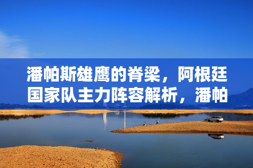 潘帕斯雄鹰的脊梁,阿根廷国家队主力阵容解析,潘帕斯雄鹰的脊梁,阿根廷国家队主力阵容解析