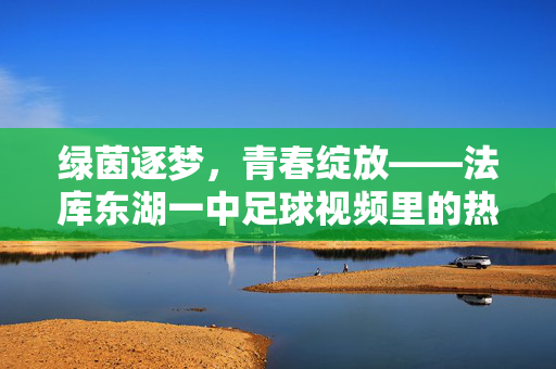 绿茵逐梦，青春绽放——法库东湖一中足球视频里的热血与成长，法库东湖一中，绿茵逐梦，青春热血成长