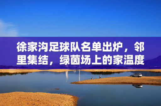徐家沟足球队名单出炉，邻里集结，绿茵场上的家温度，徐家沟足球队名单出炉，邻里集结，绿茵场上的家温度