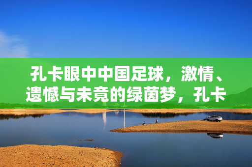 孔卡眼中中国足球，激情、遗憾与未竟的绿茵梦，孔卡眼中中国足球，激情、遗憾与未竟绿茵梦