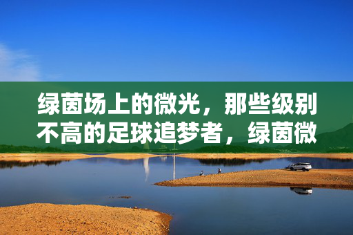 绿茵场上的微光，那些级别不高的足球追梦者，绿茵微光，平凡足球追梦者