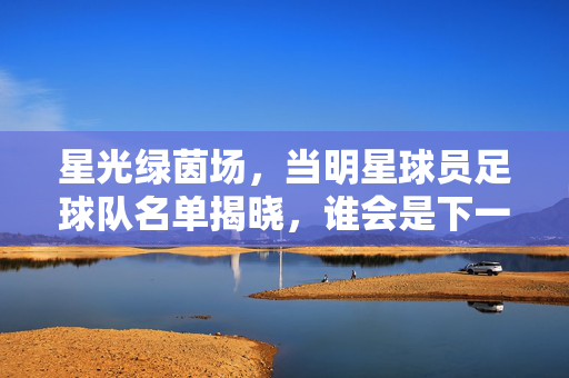 星光绿茵场，当明星球员足球队名单揭晓，谁会是下一个球王？星光绿茵场名单揭晓，下一个球王是谁？
