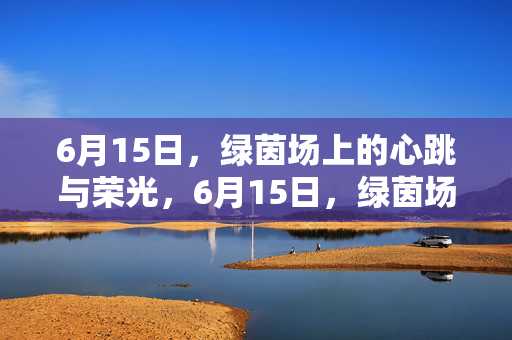 6月15日，绿茵场上的心跳与荣光，6月15日，绿茵场心跳荣光